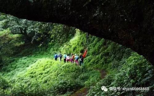 你觉得非必要排队需要优待特殊人群吗？